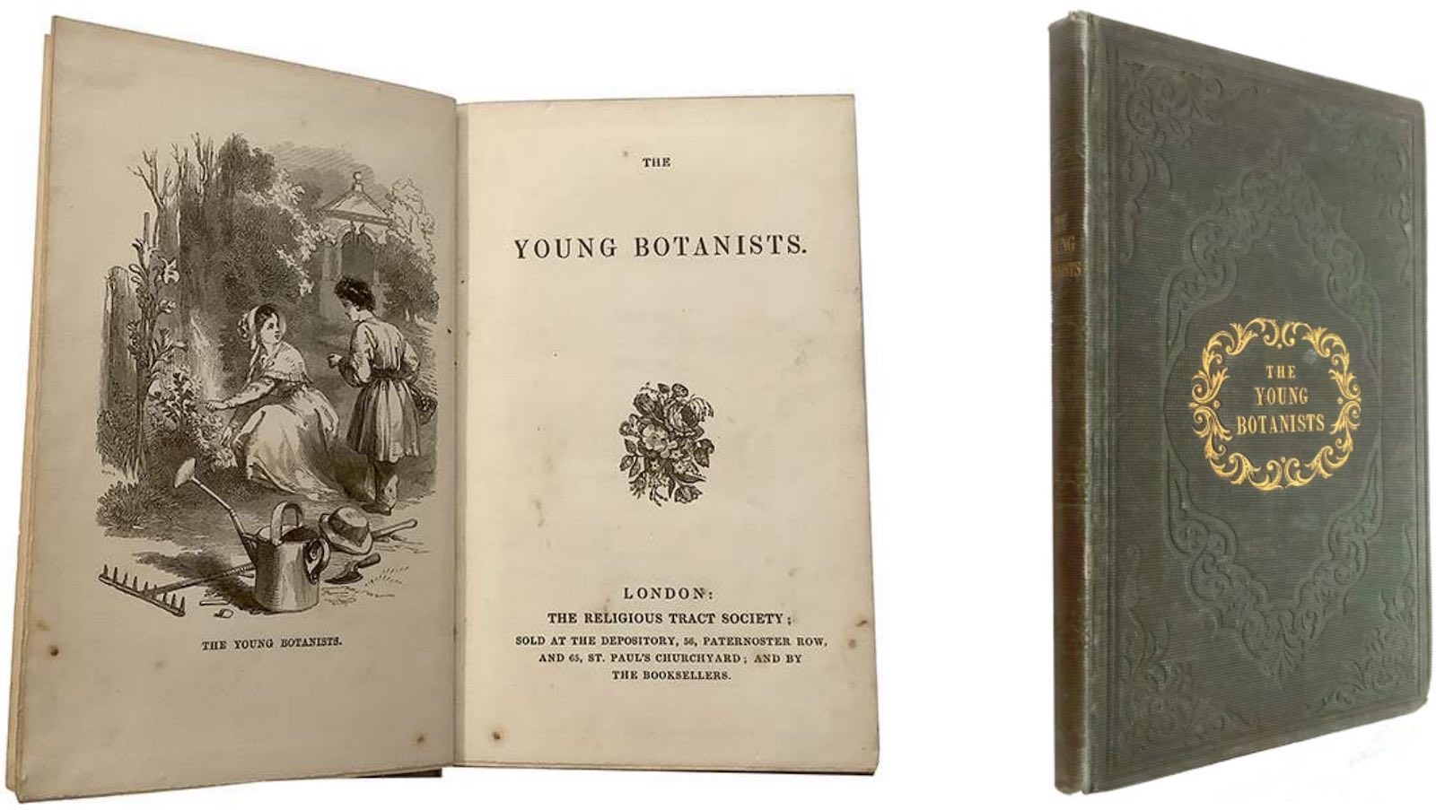 The Young Botanists, anon