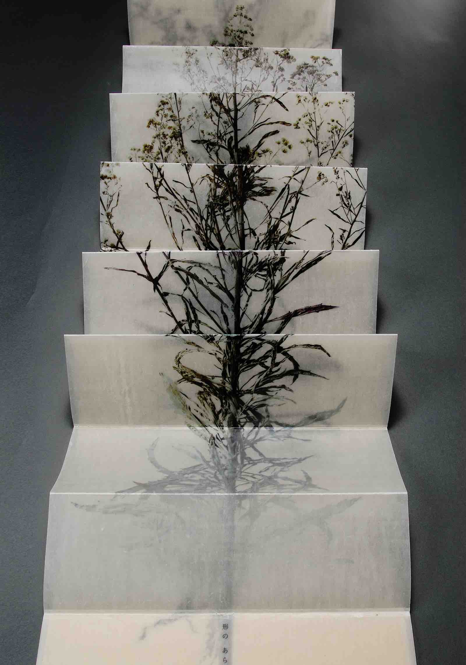 Ryoko Adachi, Sinn(e) Sammeln (From the Sky), ed. 5, 2008, ink-jet print on Japanese kouzo paper, beeswax