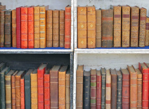 Adobe Stock shelfie