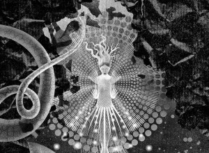 Balbusso Twins' illustration for Graciela in The Abyss by Meg Medina