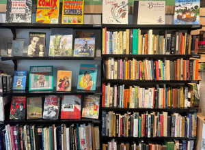 Items from the personal library of Raymond Briggs in the Hove bookshop