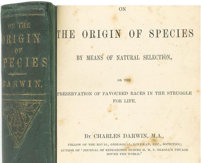 Of species origin Origin of