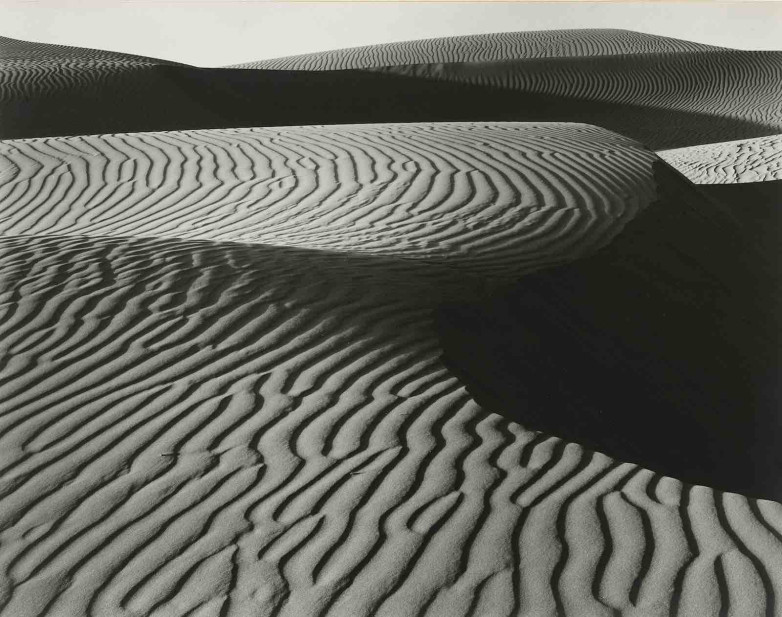 Looking Back　Robert Adams　Richard Avedon Looking Back Robert Adams Richard Avedon | eBay