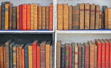 Adobe Stock shelfie