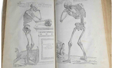 Andreas Vesalius’s De Humani Corporis Fabrica Libri Septem