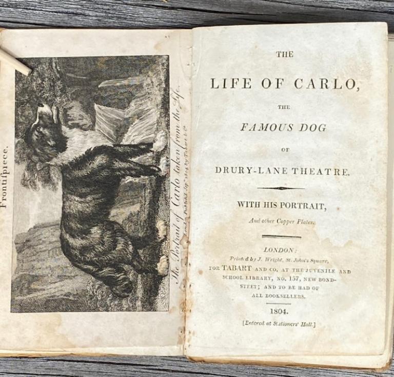 The Life of Carlo, the Famous Dog