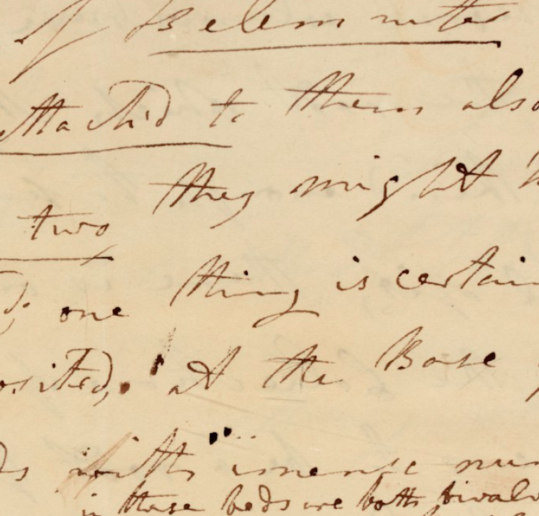 Mary Anning letter to William Buckland (detail)