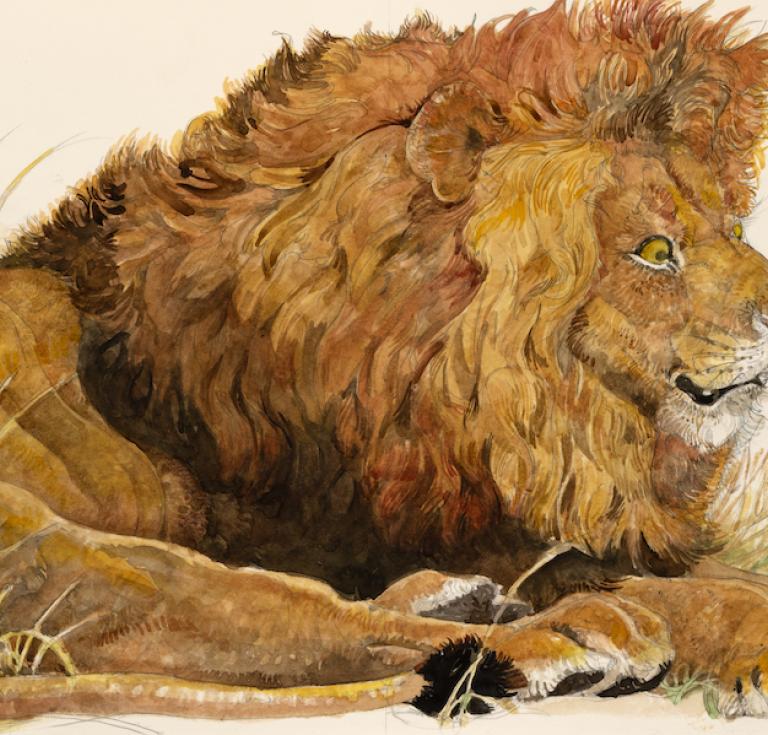 Jerry Pinkney, Illustration for The Lion and the Mouse