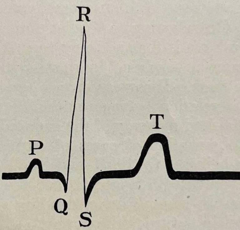 "The Electrocardiogram in Clinical Medicine," American Journal of the Medical Sciences, 1910