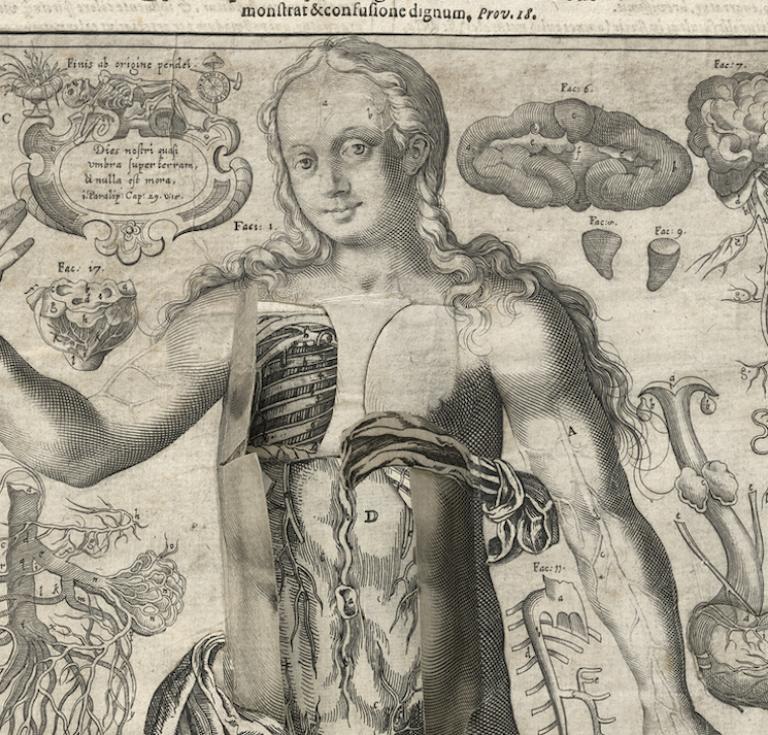 Third Vision from Mirrors of the Microcosm