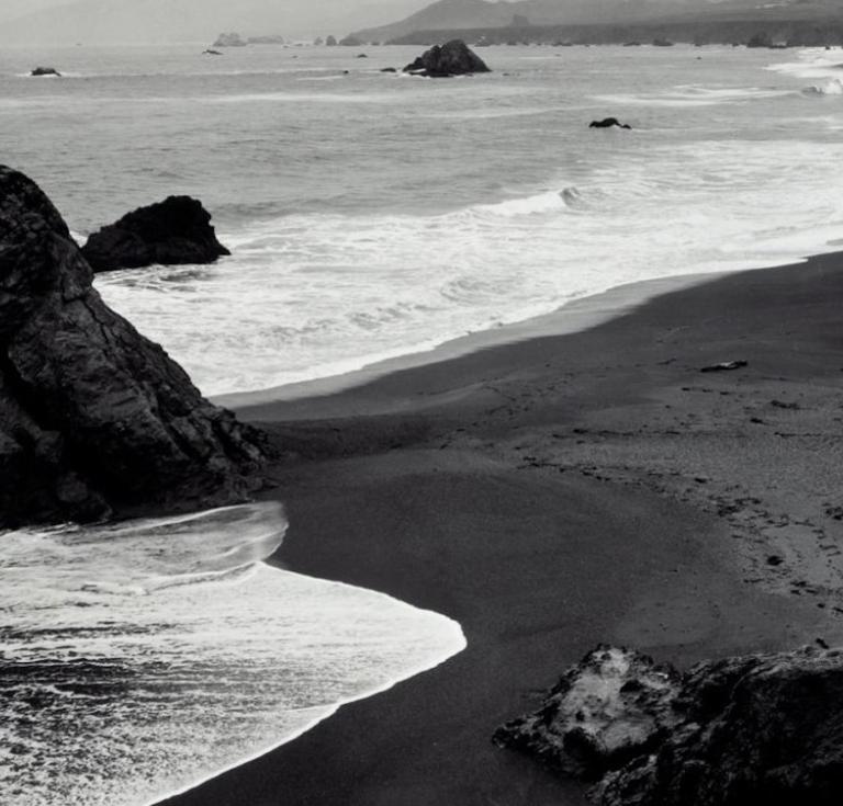 Bodega Coast by Edward Weston