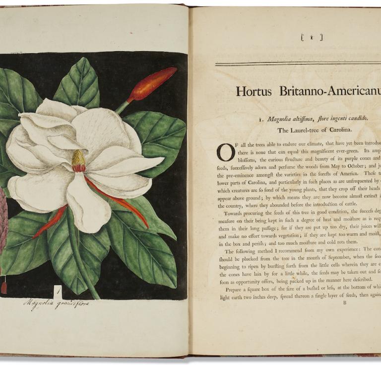 CATESBY, Mark (1682-1749) Hortus Europae Americanus or a Collection of 85 Curious Trees and Shrubs...