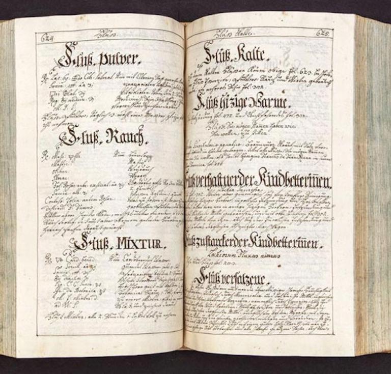 Maximus Fidelis Steigendesch, Hortus Sanitatis, 1775–1785