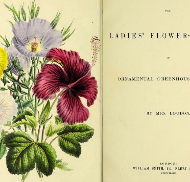 The Ladies’ Flower-Garden of Ornamental Greenhouse Plants