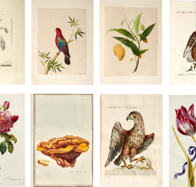 Highlights from The Library of Henry Rogers Broughton auction