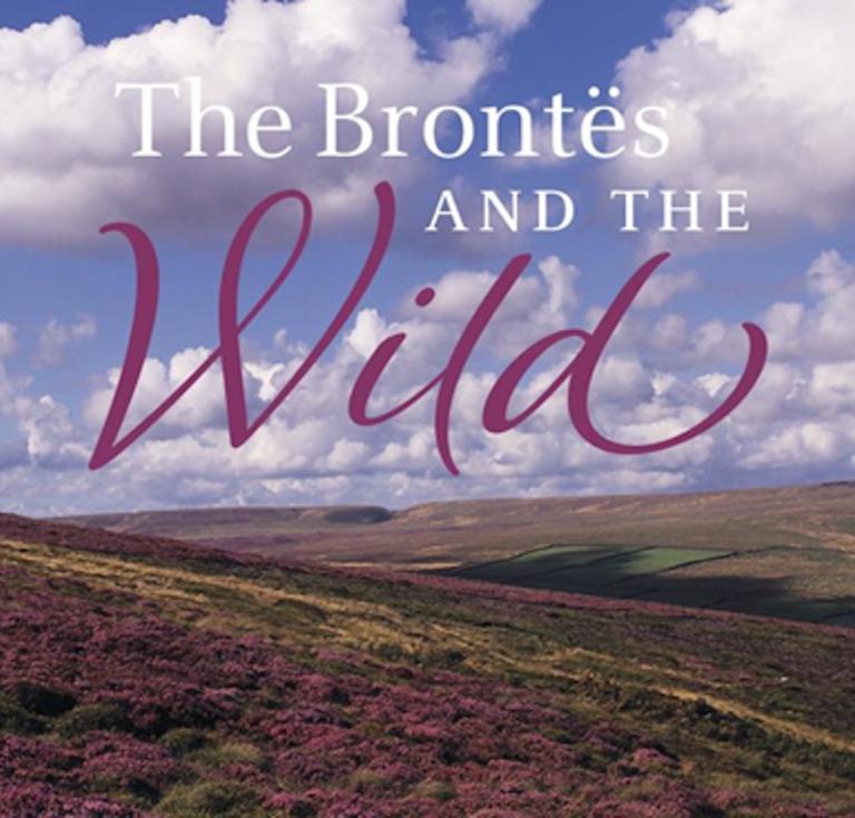 brontes and the wild exhibition