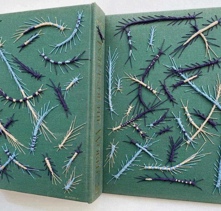 Insects of the World by Walter Linsenmaier (1972), recovered by Jo Anne Russo