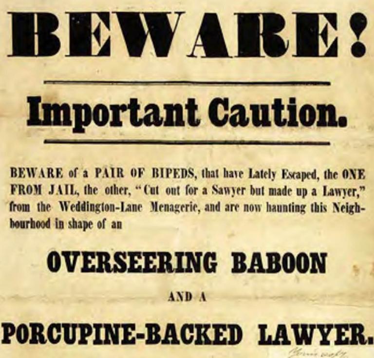 Beware! Important Caution. Beware of a Pair of Bipeds, That Have Lately Escaped, The One from Jail, The Other "Cut out for a Sawyer but Made Up a Lawyer," 