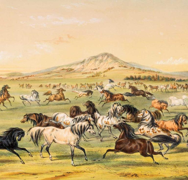 George Catlin, Wild Horses at Play, 1844