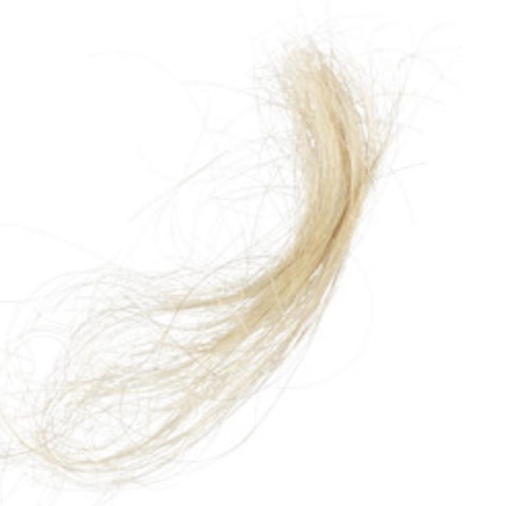 Walt Whitman's hair