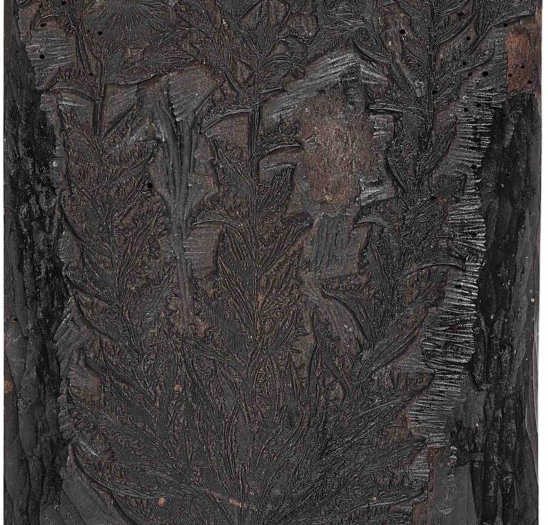 Original woodblock for Cardus vulgaris, from Mattioli's Herbal