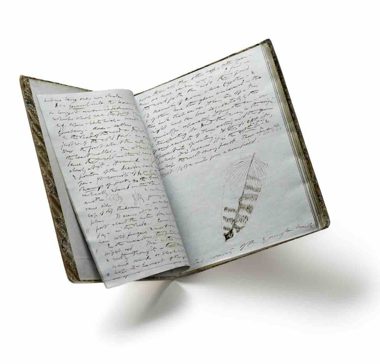 Henry David Thoreau's Journal, November 9, 1858 - April 7, 1859, autograph manuscript