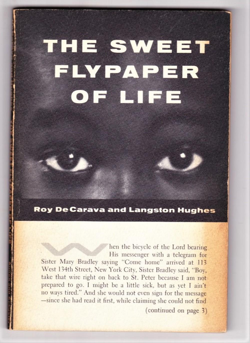 The sweet flypaper of life book cover