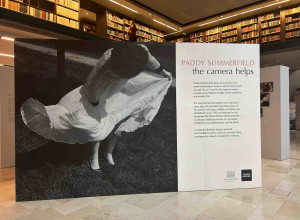 The Camera Helps exhibition