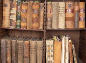 Part of the Cubitt Archive